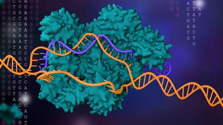 Tehnica CRISPR de Modificare a Generlor ar Putea Reda Vederea Persoanelor Nevăzătoare