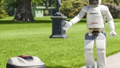 Stai la Curte? Iată Cele Mai Bune Mașini de Tuns Iarba Robotizate din 2020