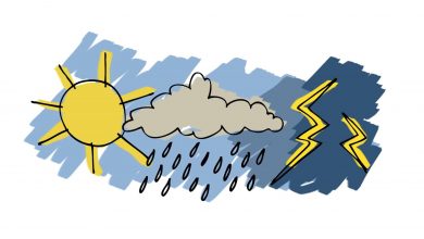 Meteo în Intervalul 2 – 5 Martie