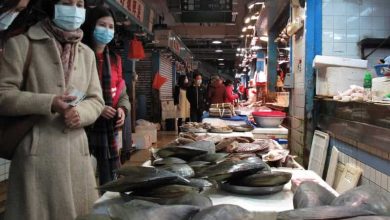 Primul oraș din China care dispune interzicerea consumului de câini și pisici