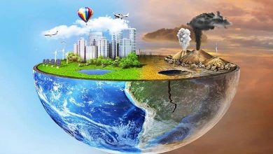 Replica planetei după atacurile crude ale omenirii