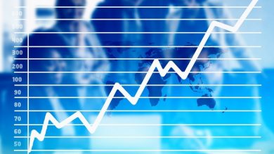 Site-ul IMM Invest, accesat de 400 000 de ori într-o ora