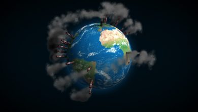Impactul izolării provocate de Covid-19 asupra mediului