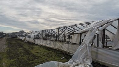 O vijelie de 10 minute a făcut dezastru într-o comună din Olt