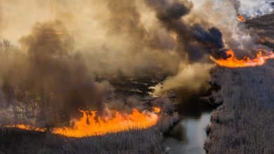 Incendiile din Ucraina se apropie de centrală nucleară de la Cernobîl