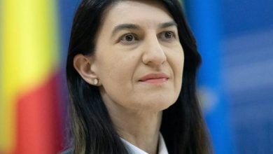 Ministrul Muncii, despre românii plecați la muncă în Germania
