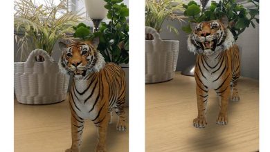 Animale 3D în sufragerie, create cu telefonul