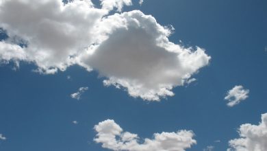Vremea în Ilfov, în următoarele 7 zile