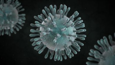 Situația pandemiei de coronavirus, duminică, 28 iunie