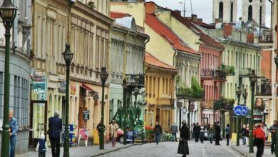 Lituania, Finlanda și Moldova au interzis accesul românilor