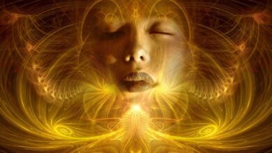 zodii misiuni speciale