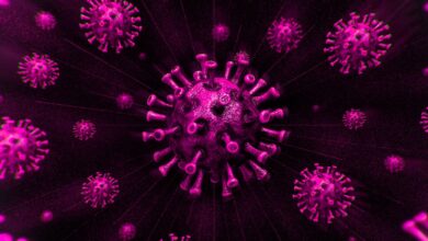 coronavirus