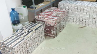 Ţigări de contrabandă de peste 252.000 lei confiscate