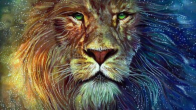 leii cei mai sarmanti