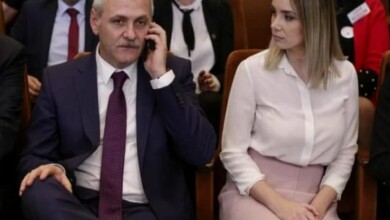 irina si dragnea