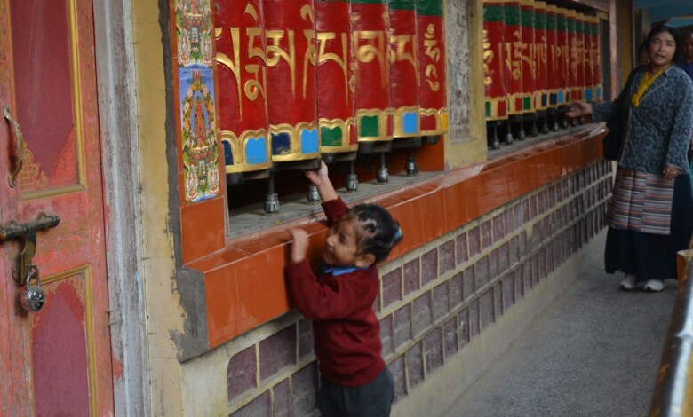 invataturi tibetane